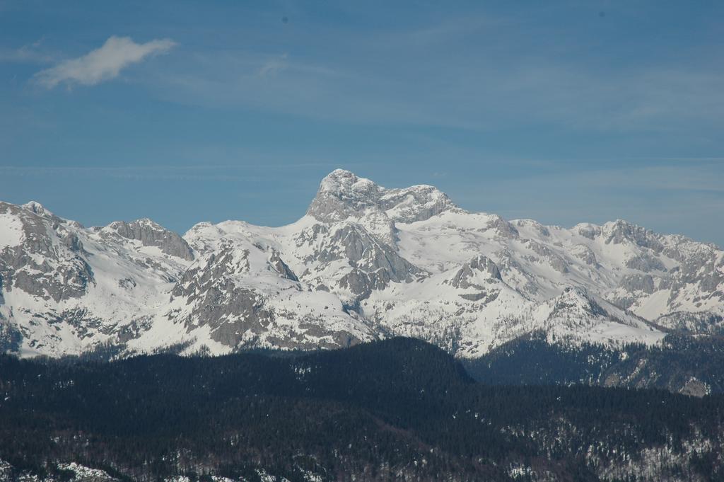 Apartment Dijak Bohinj Exterior photo