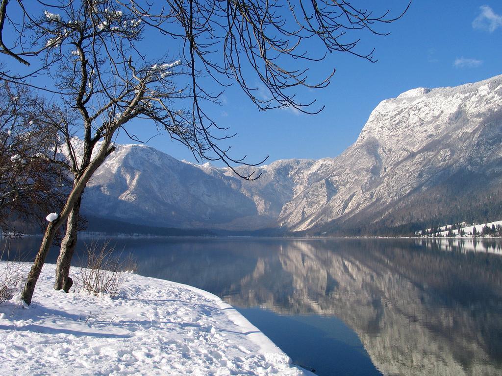 Apartment Dijak Bohinj Exterior photo